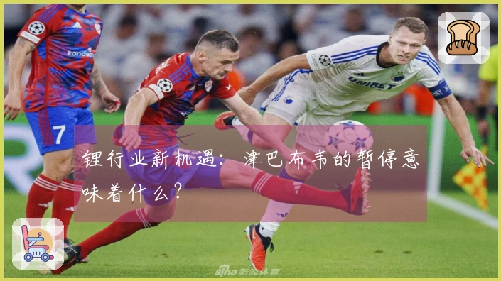 锂行业新机遇：津巴布韦的暂停意味着什么？