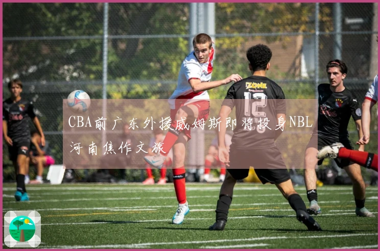 CBA前广东外援威姆斯即将投身NBL河南焦作文旅