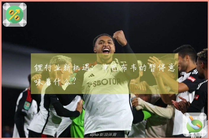 锂行业新机遇：津巴布韦的暂停意味着什么？