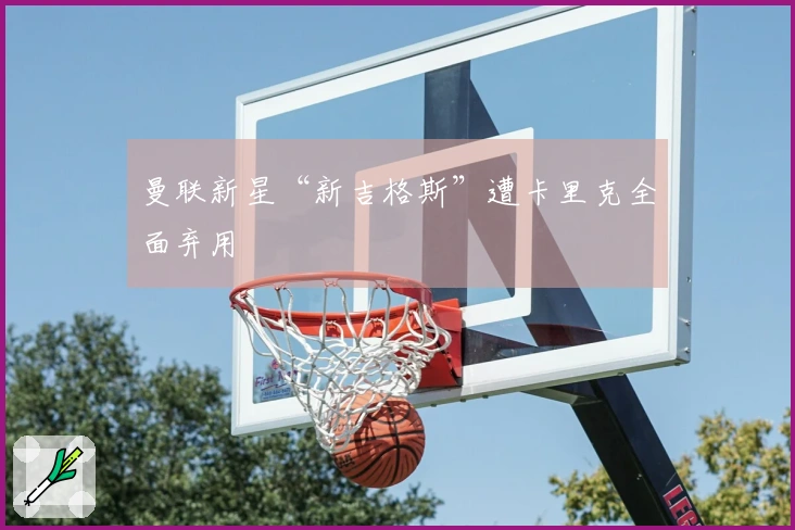 曼联新星“新吉格斯”遭卡里克全面弃用